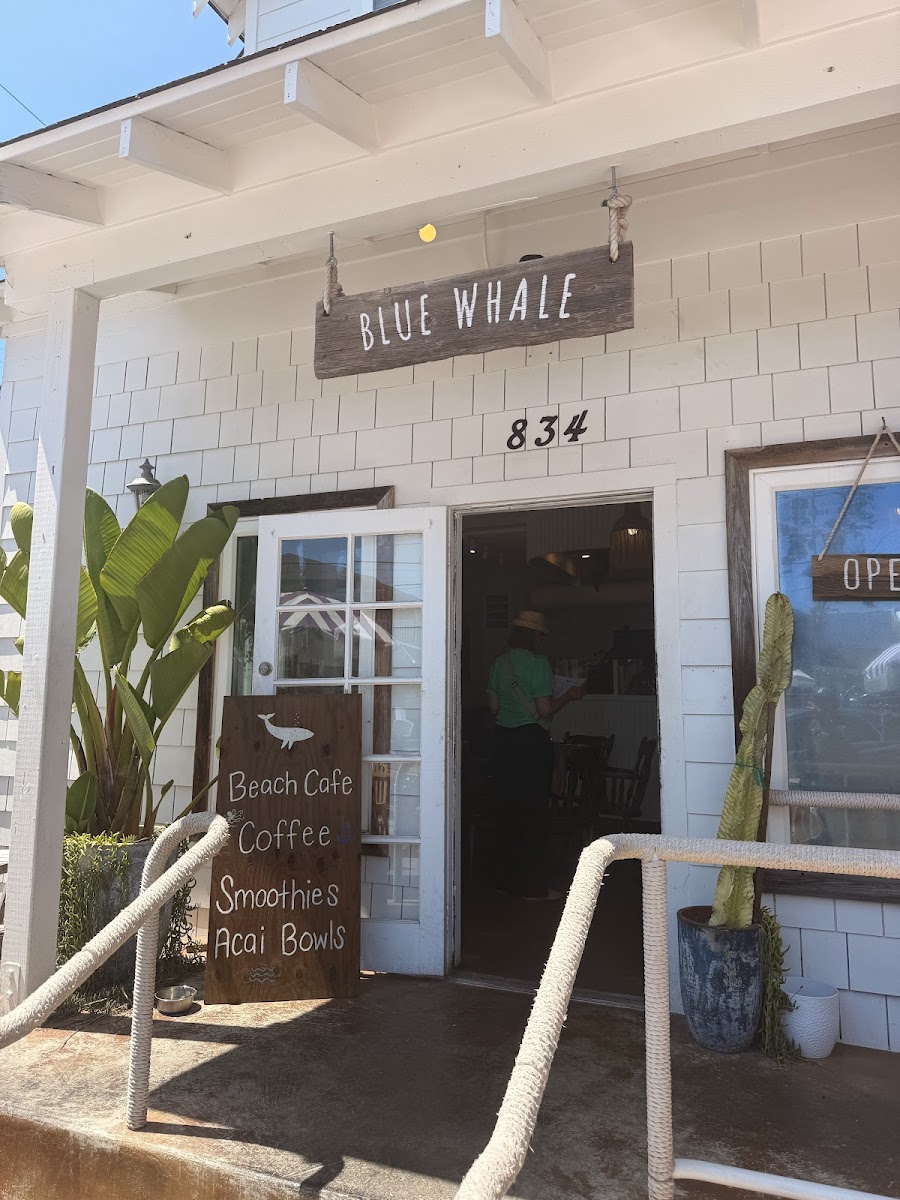 Blue Whale